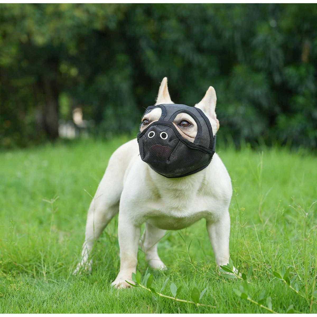 Short Snout Adjustable Breathable Mesh Dog Muzzle C4421