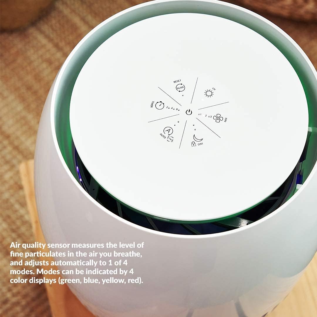 Air Purifier with HEPA Filter G7665