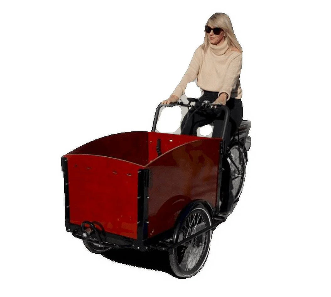 Electric Dutch Cargo Tricycle S376