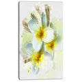 Extra Large Floral Canvas Art J5276