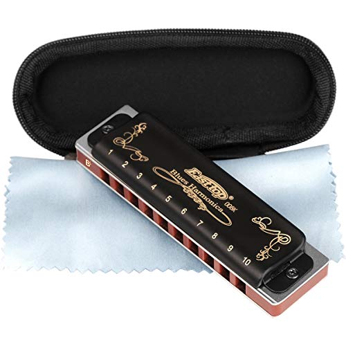 Harmonica Key of G 10 Hole 20 Tone Black with Case & Cleaning Cloth G885950