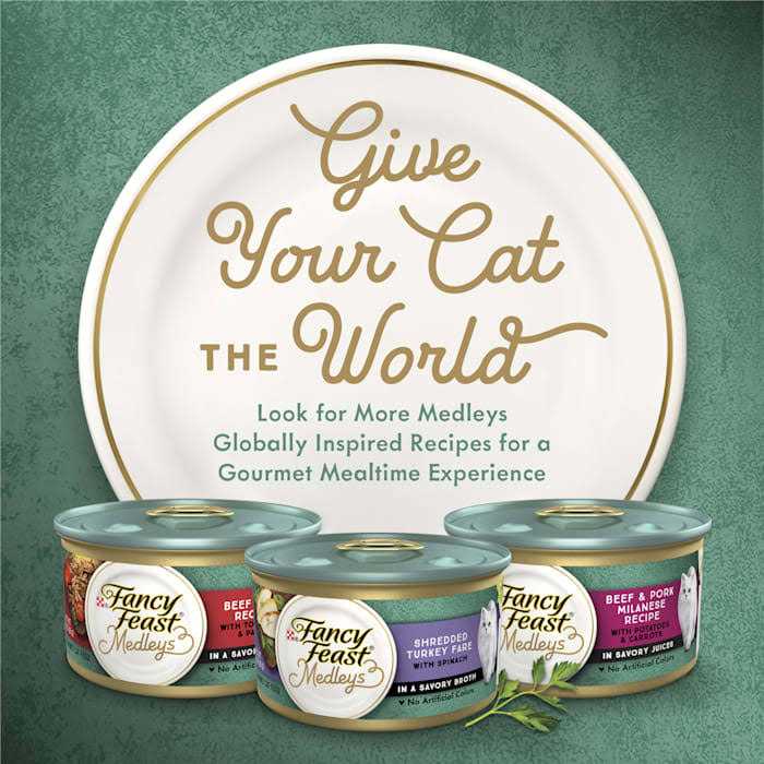 Wet Cat Food U99934