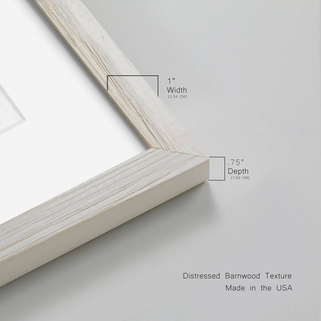 Pressed Botanical Framed Print - 27.5X37.5 - Grey H403