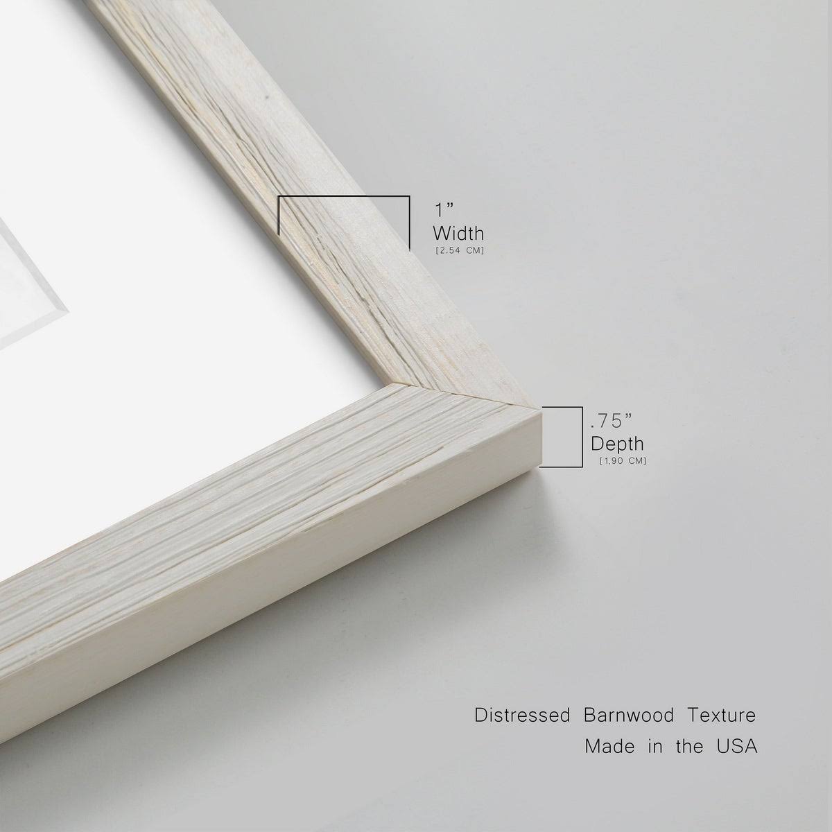 Pressed Botanical Framed Print - 27.5X37.5 - Grey H403