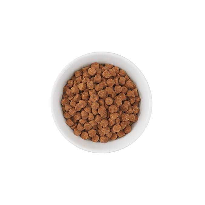 Turkey Dry Cat Food N565