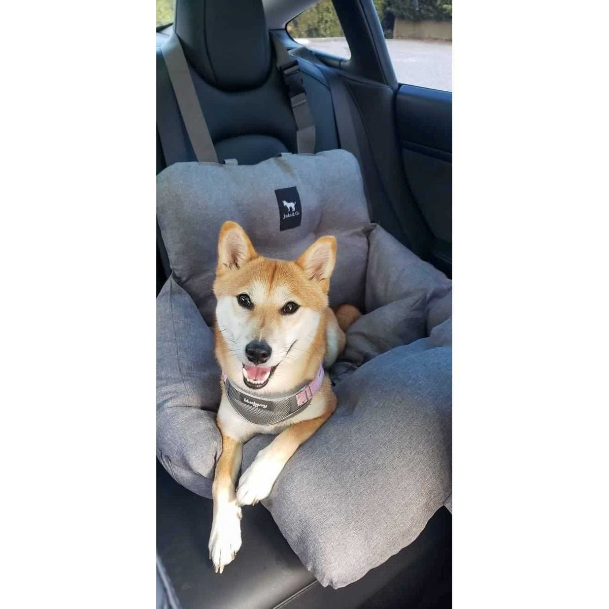 Premium Dog Car Seat & Booster Seat for Small & Medium Pets Under 35lbs B87960