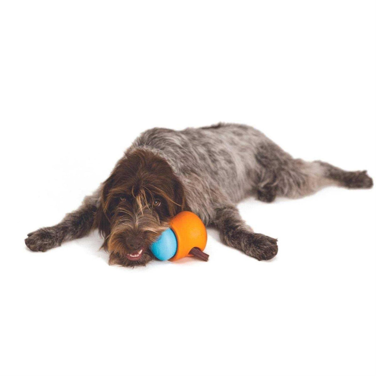 Toppl Dog Toy A4251
