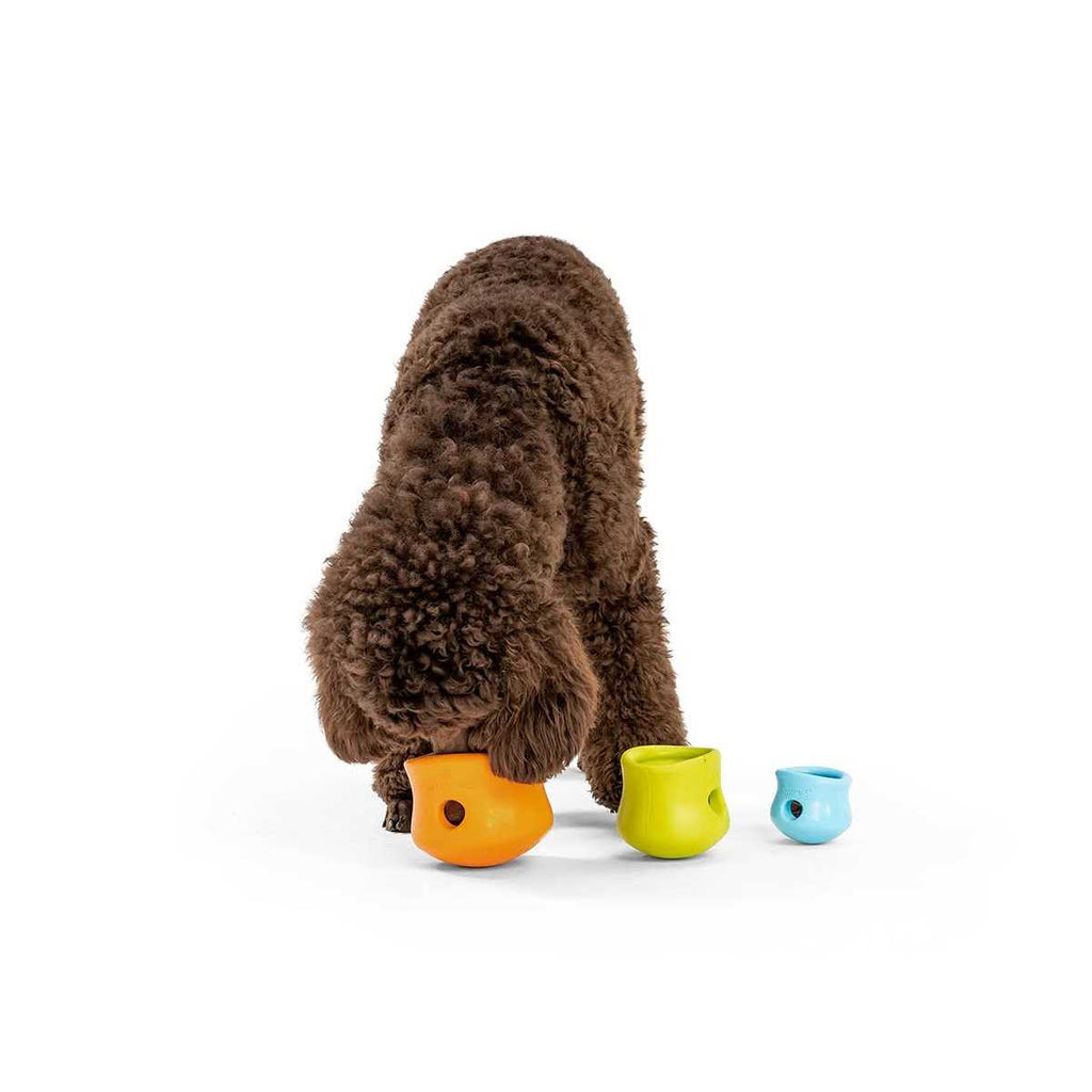 Toppl Dog Toy A4251