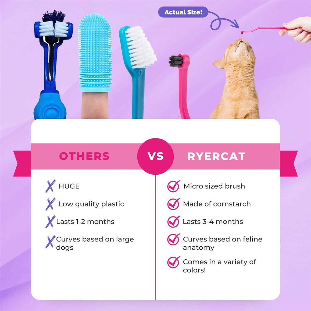 Dual Sided Cat Toothbrush F9079