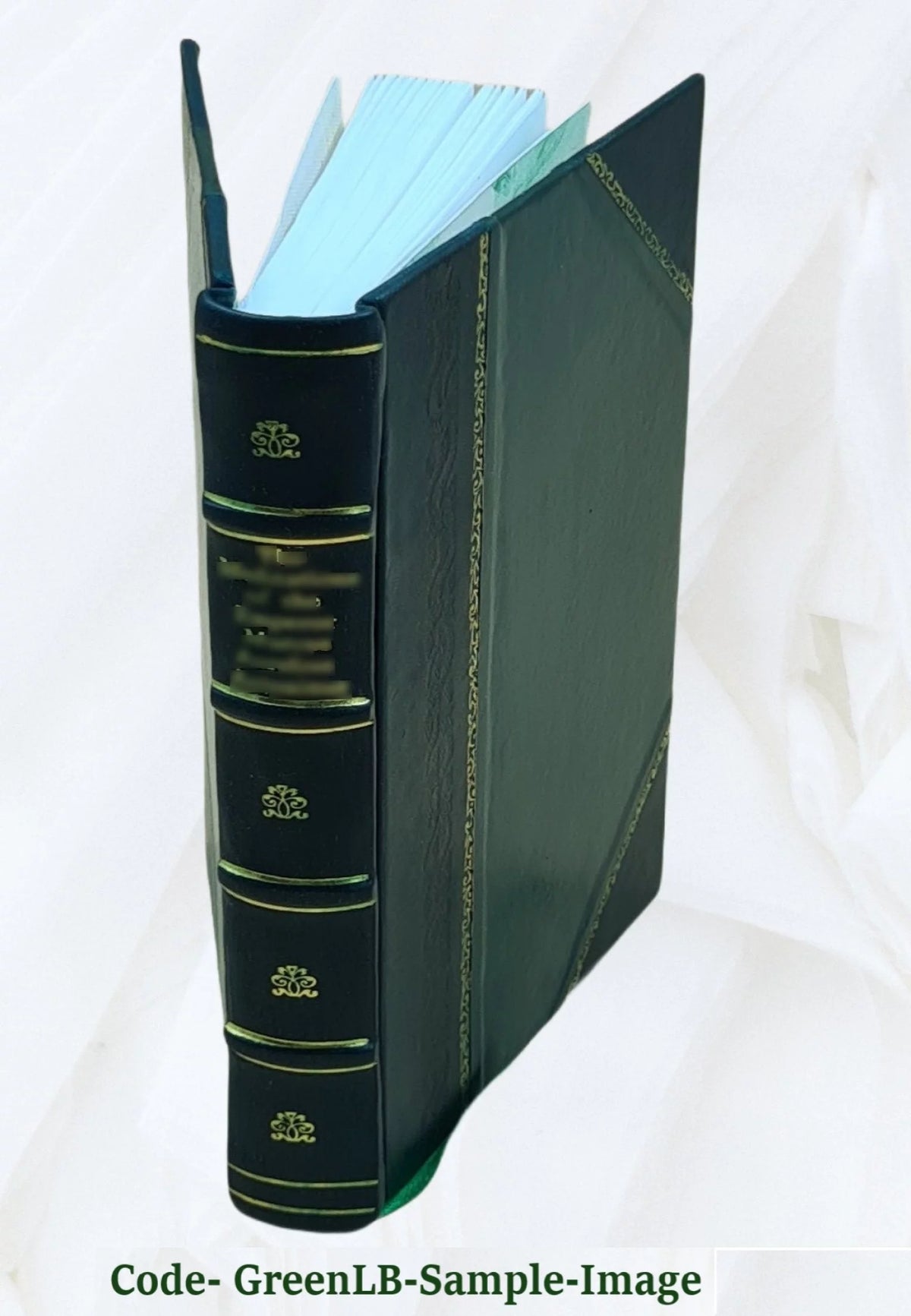 Leather Bound Q39830