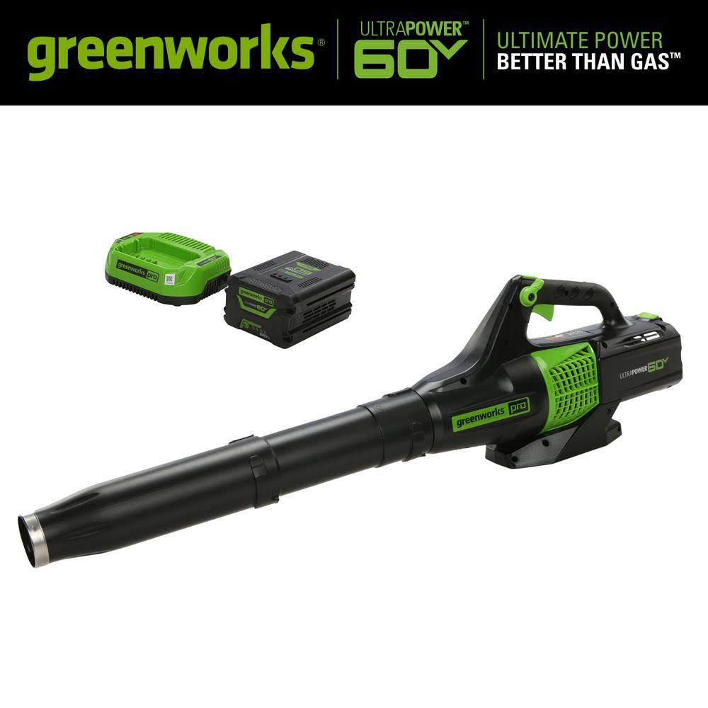 60-Volt Cordless Handheld Leaf Blower with 2.0 Ah Battery and Charger U354