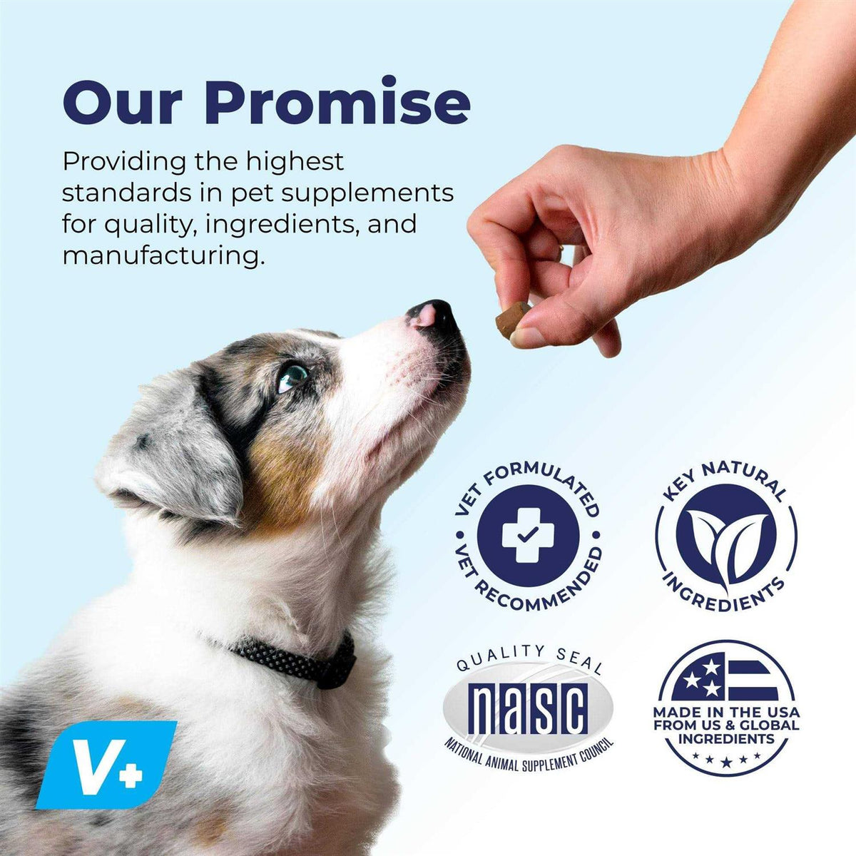 Supplement for Senior Dogs Y36245