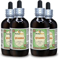 Quassia Dried Wood Alcohol-Free Liquid Extract 4x120 ml L734