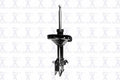 Suspension Strut Assembly S273