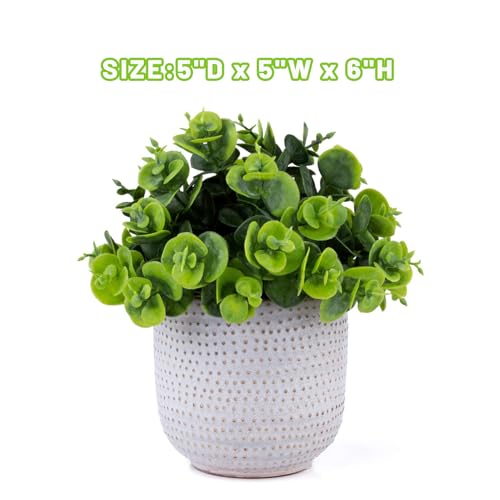 2 Pack Artificial Succulents in Ceramic Planters Fake Greenery Potted Z588980