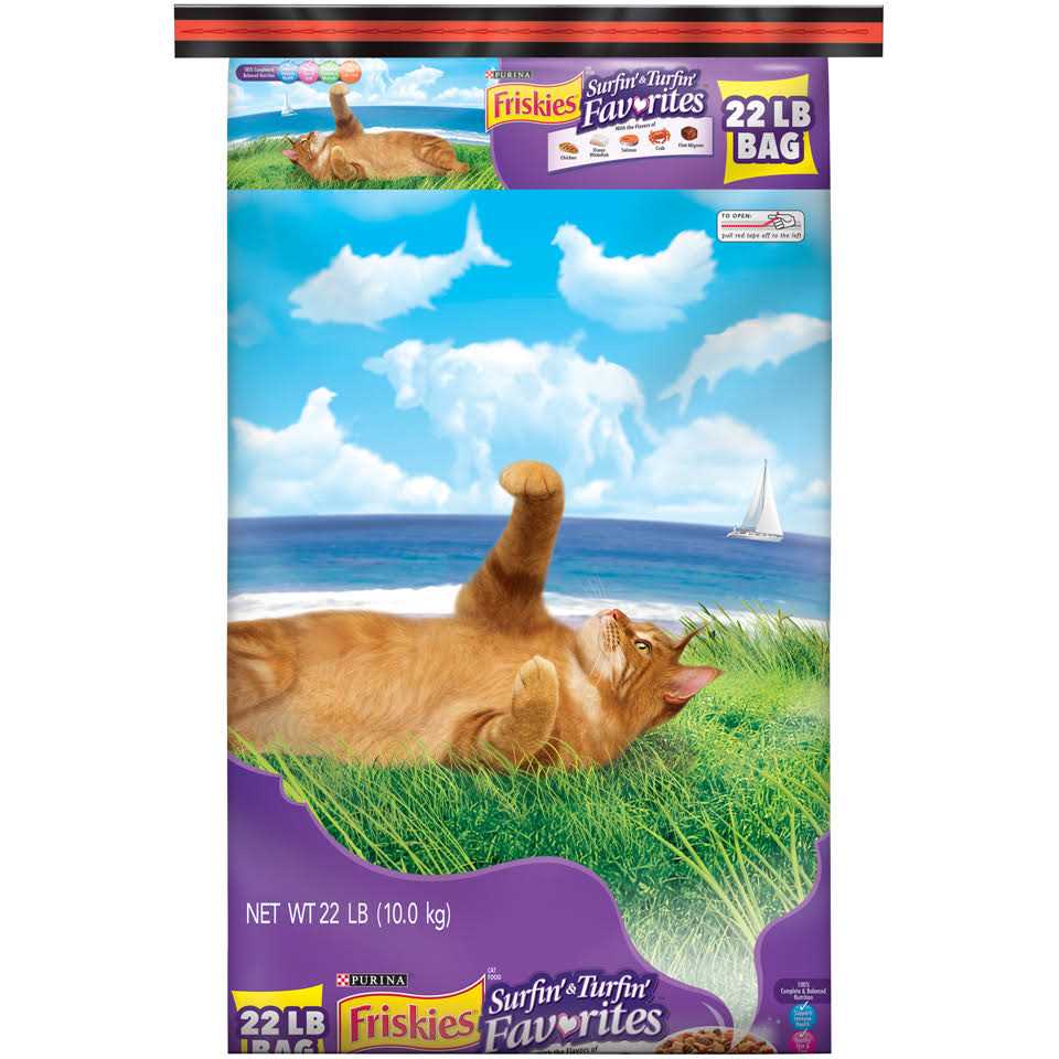 Dry Cat Food K3974