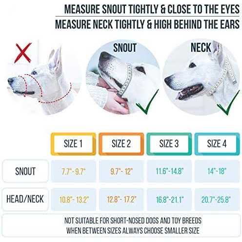 Dog Head Halter with Safety Strap T175216