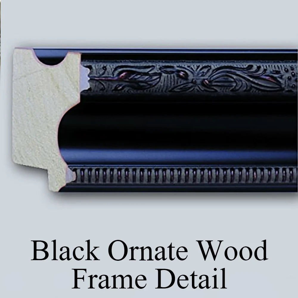 18x24 Black Ornate Framed Double Matted Art Print U965