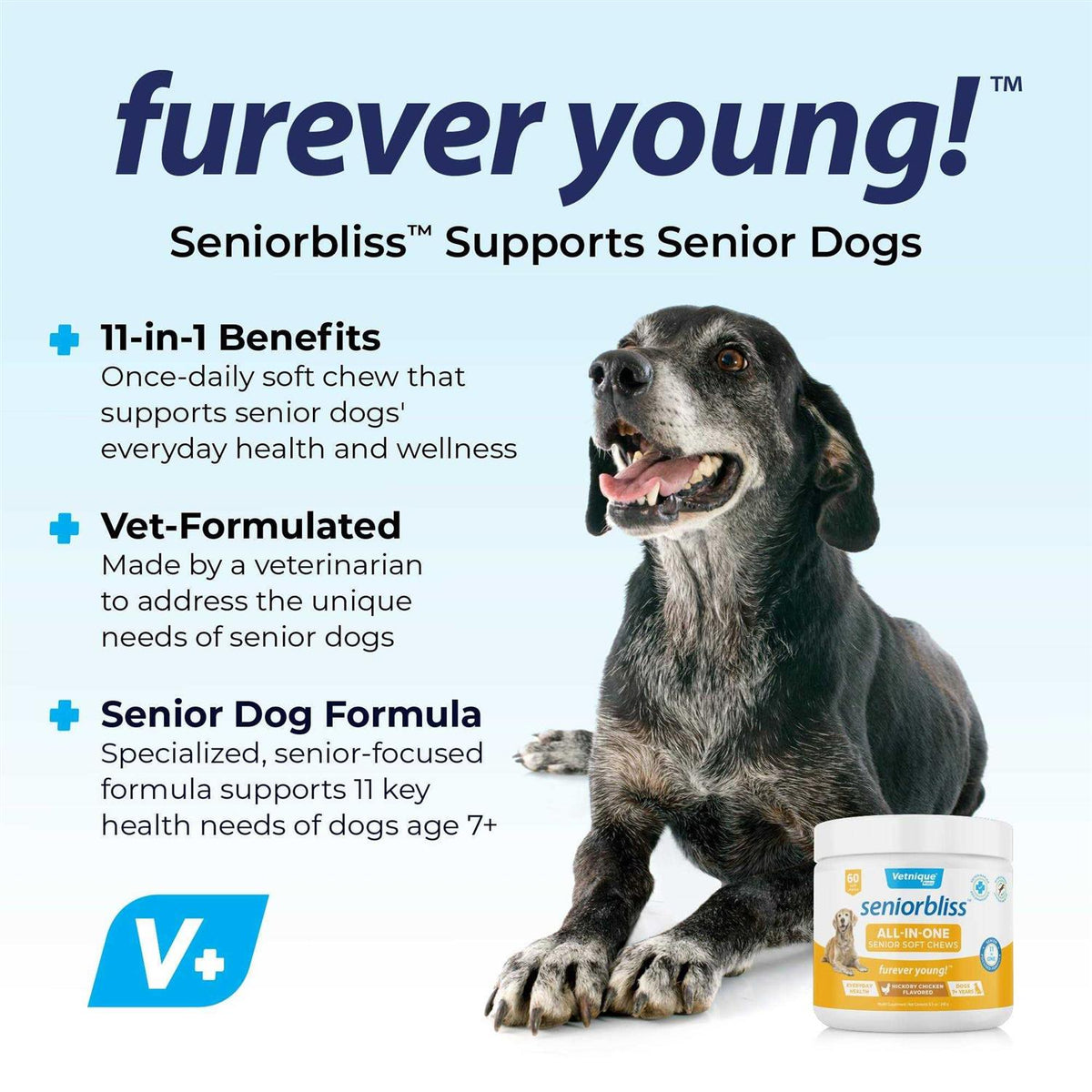 Supplement for Senior Dogs Y36245