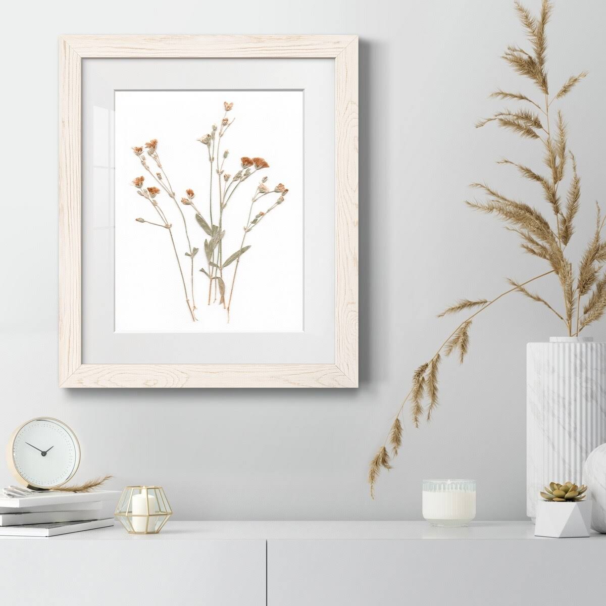 Pressed Botanical Framed Print - 27.5X37.5 - Grey H403