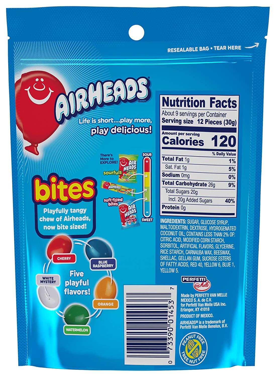 Chewy Bites Fruit Bites 9oz Resealable Bag B154563