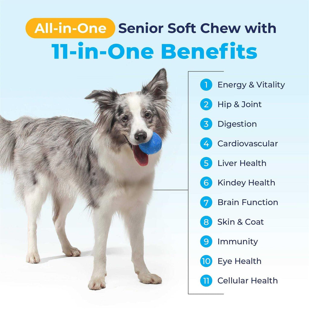Supplement for Senior Dogs Y36245