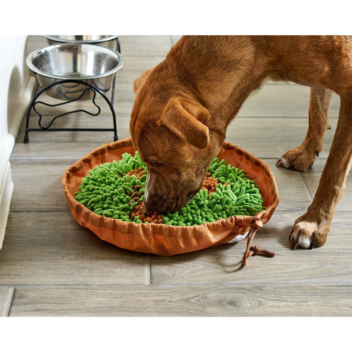 Snuffle Mat & Slow Feeder Dog Bowl F88564
