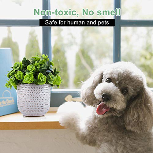 2 Pack Artificial Succulents in Ceramic Planters Fake Greenery Potted Z588980