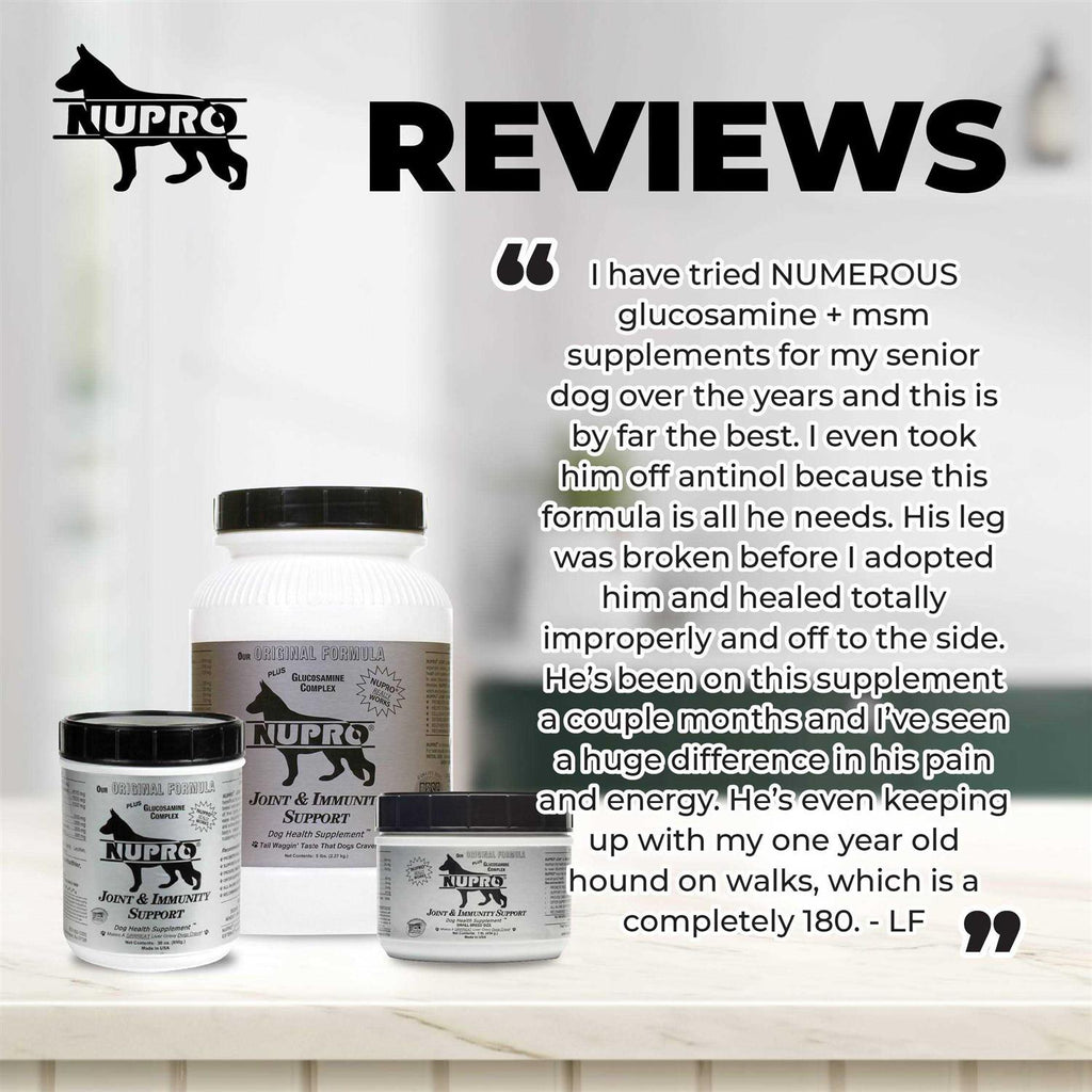 Joint & Immunity Support Dog Supplement N43448