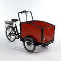 Electric Dutch Cargo Tricycle S376