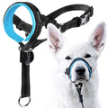 Dog Head Halter with Safety Strap T175216