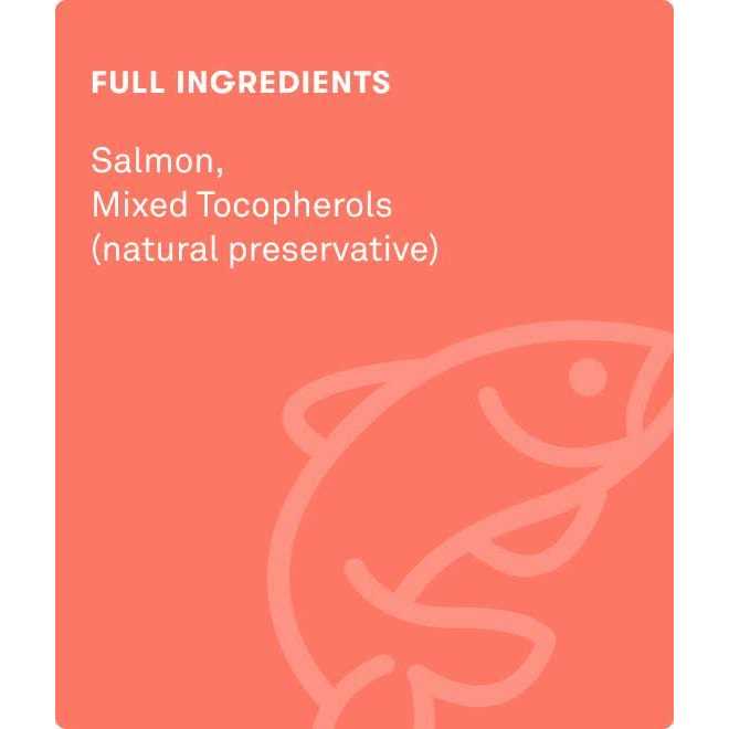 Freeze Dried Salmon Dog Food Topper Y844469