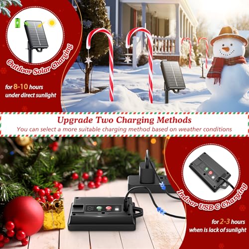 24-Pack Solar Christmas Candy Cane Lights, 144 LED O1458