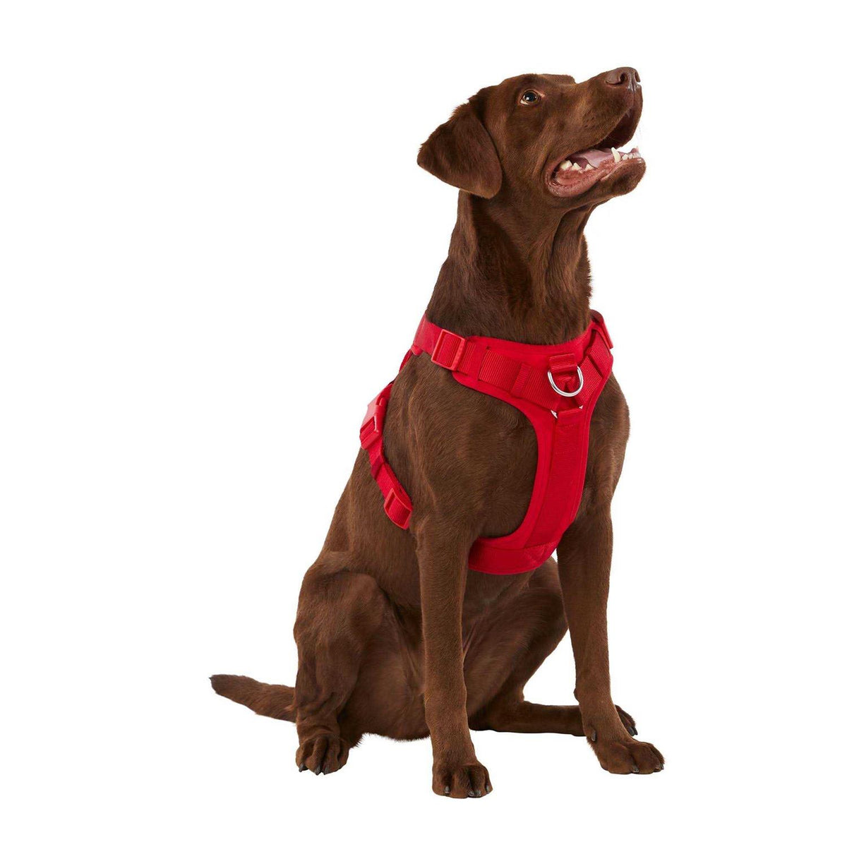 Neoprene Dog Harness F976