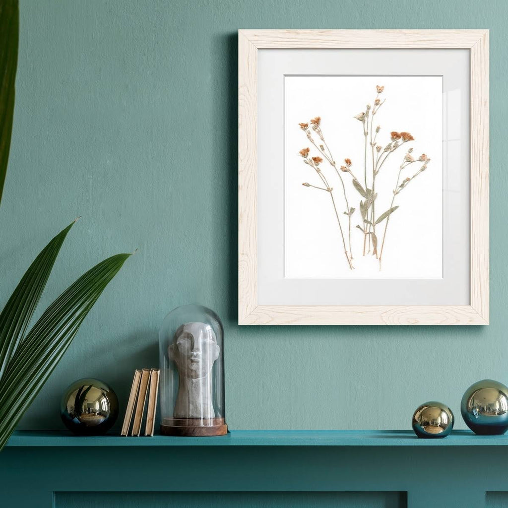 Pressed Botanical Framed Print - 27.5X37.5 - Grey H403