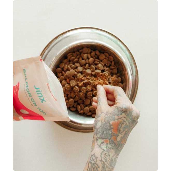 Freeze Dried Salmon Dog Food Topper Y844469