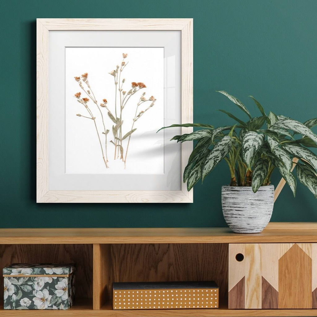 Pressed Botanical Framed Print - 27.5X37.5 - Grey H403