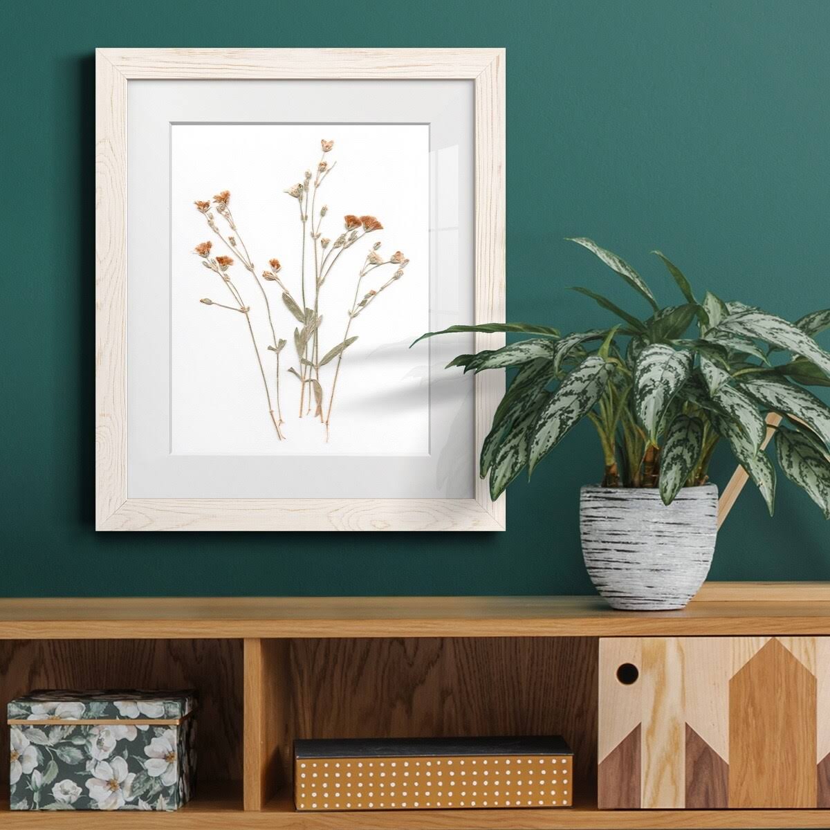 Pressed Botanical Framed Print - 27.5X37.5 - Grey H403