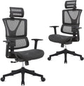 Ergonomic Mesh Computer Chair with Lumbar Support and Headrest P835