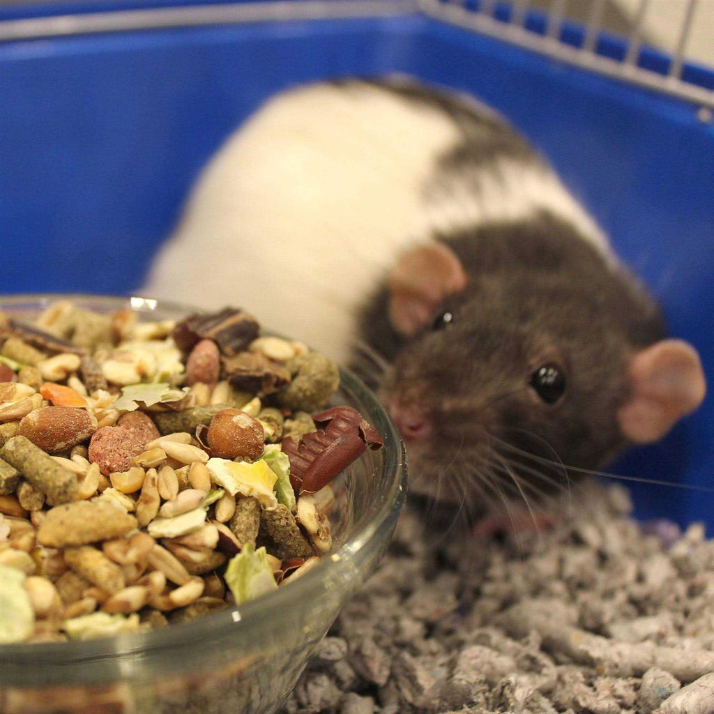 Natural Forage Blend Rat S345685