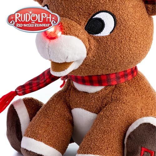 Stuffed Animal Plush Toy with Music & Lights G219