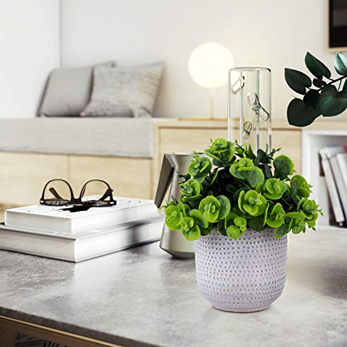 2 Pack Artificial Succulents in Ceramic Planters Fake Greenery Potted Z588980