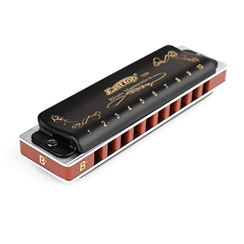 Harmonica Key of G 10 Hole 20 Tone Black with Case & Cleaning Cloth G885950