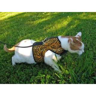 Cat Harness Y43392
