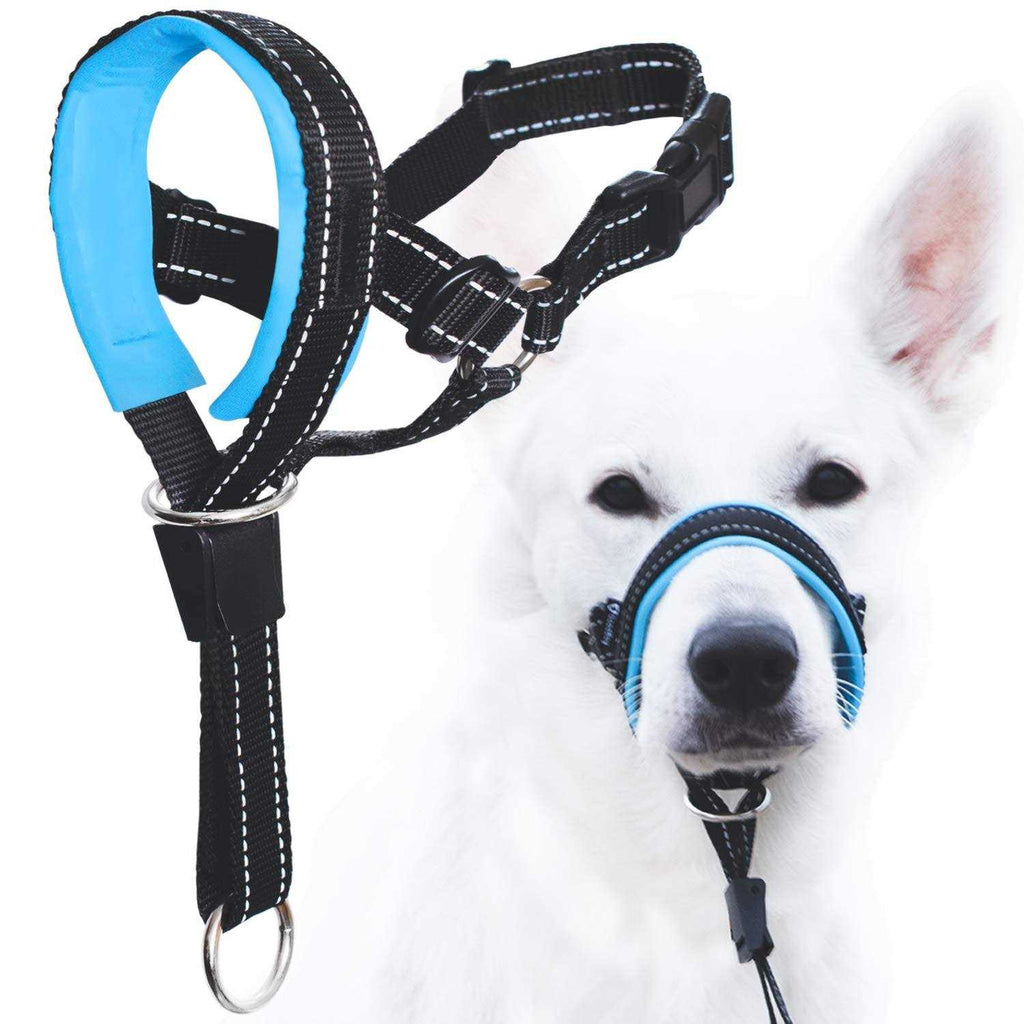 Dog Head Halter with Safety Strap T175216