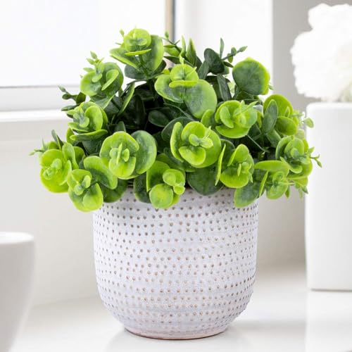 2 Pack Artificial Succulents in Ceramic Planters Fake Greenery Potted Z588980