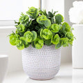 2 Pack Artificial Succulents in Ceramic Planters Fake Greenery Potted Z588980