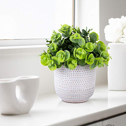 2 Pack Artificial Succulents in Ceramic Planters Fake Greenery Potted Z588980