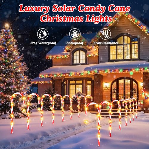 24-Pack Solar Christmas Candy Cane Lights, 144 LED O1458