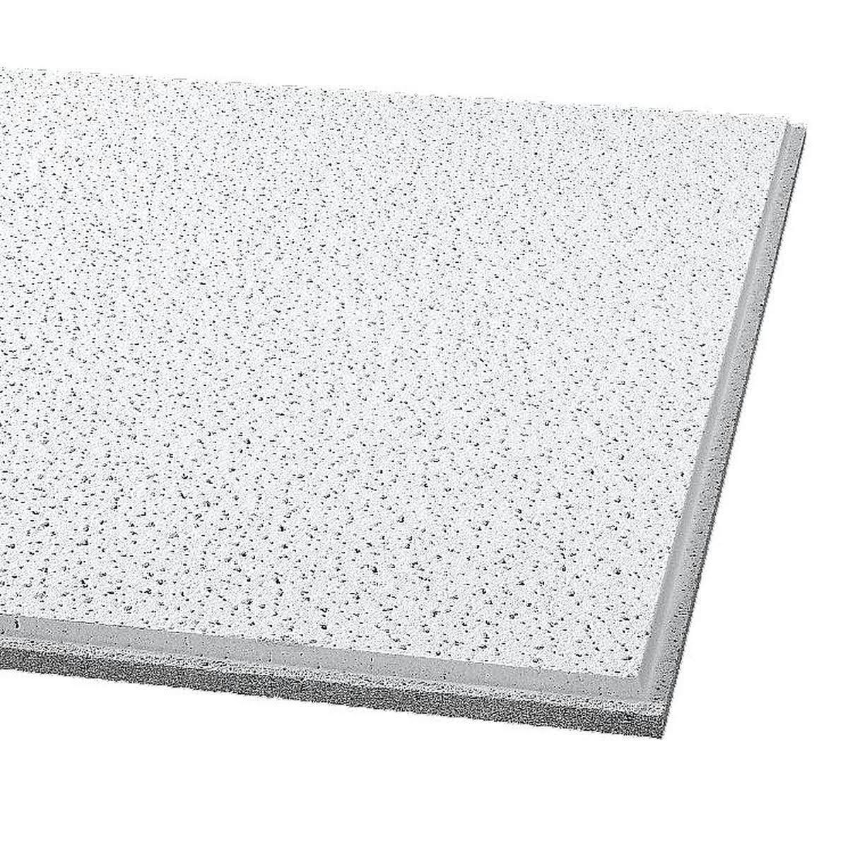 24x24x5/8 in. Fine Fissured Acoustical Ceiling Tile S670